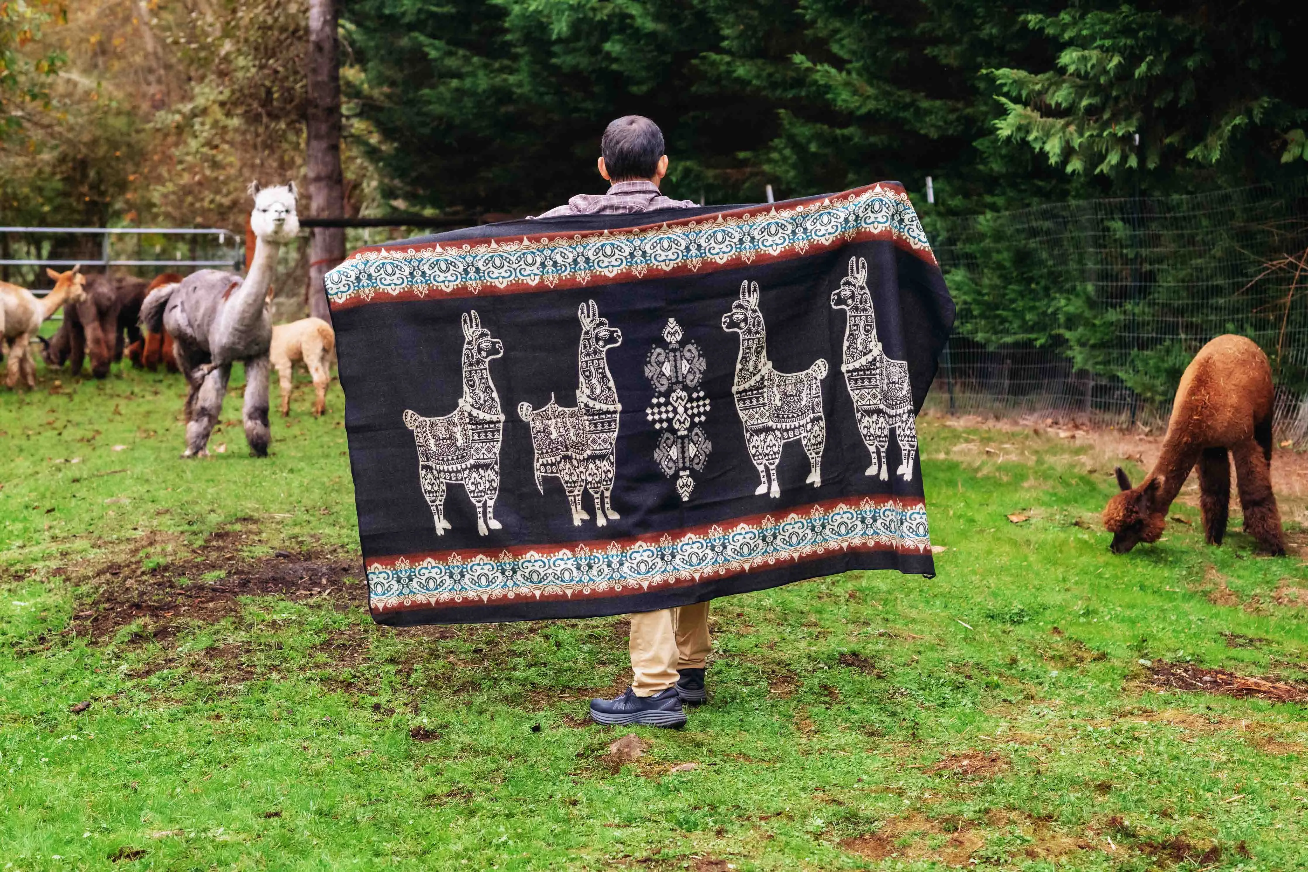 Alpaca - Black - Alpaca Wool Blanket - Enchanted Farms