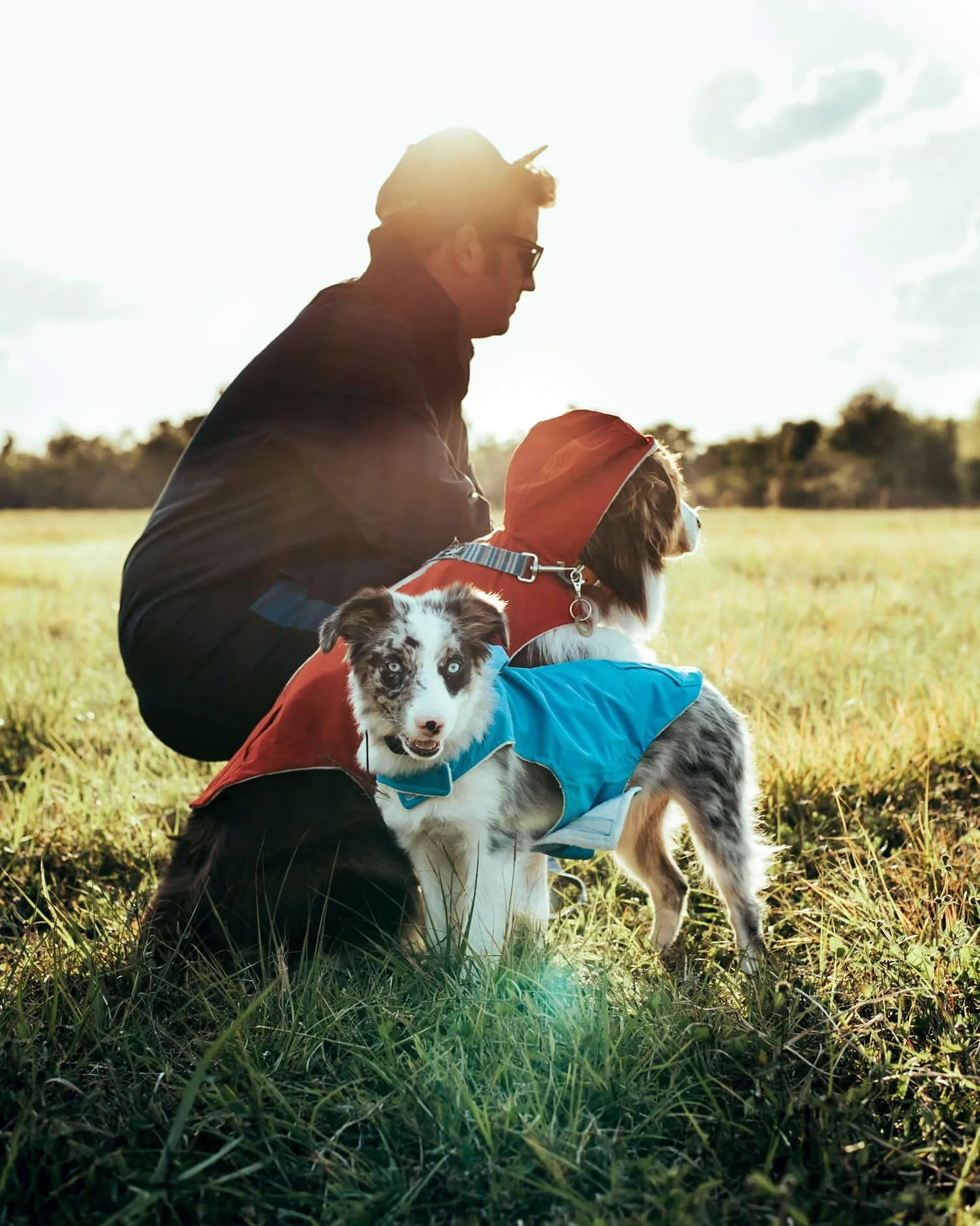 Dog Raincoat